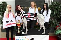 Chrt_dostihy_Czech_St_Leger_Greyhound_Park_Motol_Praha_2017_IMG_8768.JPG