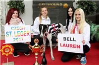 Chrt_dostihy_Czech_St_Leger_Greyhound_Park_Motol_Praha_2017_IMG_8775.JPG