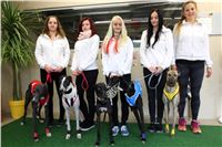 Chrt_dostihy_Czech_St_Leger_Greyhound_Park_Motol_Praha_2017_IMG_8781.JPG