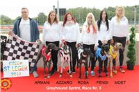 Chrt_dostihy_Czech_St_Leger_Greyhound_Park_Motol_Praha_2017_IMG_8788.JPG