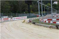 Chrt_dostihy_Czech_St_Leger_Greyhound_Park_Motol_Praha_2017_IMG_8798.JPG