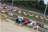 Chrt_dostihy_Czech_St_Leger_Greyhound_Park_Motol_Praha_2017_IMG_8801.JPG