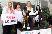 Chrt_dostihy_Czech_St_Leger_Greyhound_Park_Motol_Praha_2017_IMG_8817.JPG