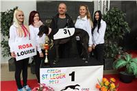 Chrt_dostihy_Czech_St_Leger_Greyhound_Park_Motol_Praha_2017_IMG_8826.JPG