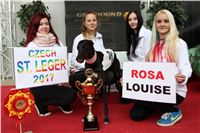 Chrt_dostihy_Czech_St_Leger_Greyhound_Park_Motol_Praha_2017_IMG_8834.JPG