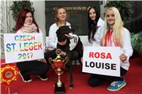 Chrt_dostihy_Czech_St_Leger_Greyhound_Park_Motol_Praha_2017_IMG_8839.JPG