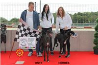 Chrt_dostihy_Czech_St_Leger_Greyhound_Park_Motol_Praha_2017_IMG_8844.JPG