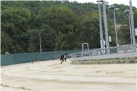 Chrt_dostihy_Czech_St_Leger_Greyhound_Park_Motol_Praha_2017_IMG_8857.JPG