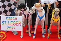 Chrt_dostihy_Czech_St_Leger_Greyhound_Park_Motol_Praha_2017_napis.jpg