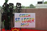 Chrt_dostihy_Czech_St_Leger_Greyhound_Park_Motol_Praha_2_2017_IMG_8651.JPG
