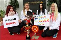 Chrt_dostihy_Winner_KENZO_Czech_St_Leger_Greyhound_Park_Motol_Praha_2017.jpg