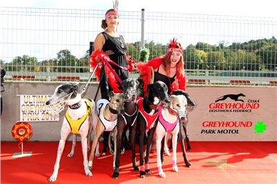 Chrt_dostihy_ultimate_greyhound_racing_park_prague_1.jpg