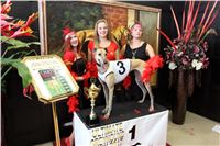 Chrt_dostihy_ultimate_greyhound_racing_park_prague_4.jpg