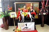 Chrt_dostihy_ultimate_greyhound_racing_park_prague_IMG_9219.JPG