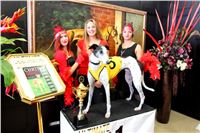 Chrt_dostihy_ultimate_greyhound_racing_park_prague_IMG_9227.JPG