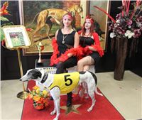 Chrt_dostihy_ultimate_greyhound_racing_park_prague_IMG_9243.JPG