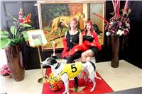 Chrt_dostihy_ultimate_greyhound_racing_park_prague_IMG_9244.JPG