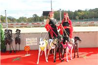 Chrt_dostihy_ultimate_greyhound_racing_park_prague_IMG_9260.JPG