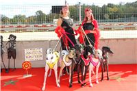 Chrt_dostihy_ultimate_greyhound_racing_park_prague_IMG_9260_v.JPG