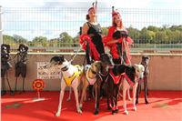 Chrt_dostihy_ultimate_greyhound_racing_park_prague_IMG_9262.JPG