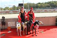 Chrt_dostihy_ultimate_greyhound_racing_park_prague_IMG_9263.JPG