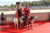 Chrt_dostihy_ultimate_greyhound_racing_park_prague_IMG_9264.JPG