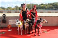 Chrt_dostihy_ultimate_greyhound_racing_park_prague_IMG_9265.JPG