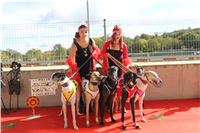 Chrt_dostihy_ultimate_greyhound_racing_park_prague_IMG_9266.JPG