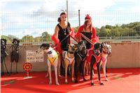 Chrt_dostihy_ultimate_greyhound_racing_park_prague_IMG_9267.JPG