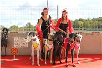 Chrt_dostihy_ultimate_greyhound_racing_park_prague_IMG_9268.JPG