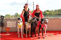 Chrt_dostihy_ultimate_greyhound_racing_park_prague_IMG_9270.JPG