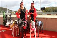 Chrt_dostihy_ultimate_greyhound_racing_park_prague_IMG_9271.JPG