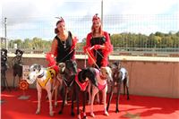 Chrt_dostihy_ultimate_greyhound_racing_park_prague_IMG_9273.JPG