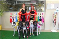 Chrt_dostihy_ultimate_greyhound_racing_park_prague_IMG_9274.JPG