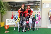 Chrt_dostihy_ultimate_greyhound_racing_park_prague_IMG_9275.JPG