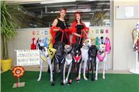 Chrt_dostihy_ultimate_greyhound_racing_park_prague_IMG_9277.JPG