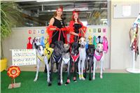 Chrt_dostihy_ultimate_greyhound_racing_park_prague_IMG_9278.JPG