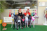 Chrt_dostihy_ultimate_greyhound_racing_park_prague_IMG_9280.JPG