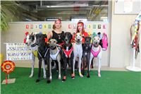 Chrt_dostihy_ultimate_greyhound_racing_park_prague_IMG_9285.JPG