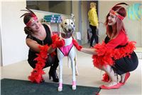 Chrt_dostihy_ultimate_greyhound_racing_park_prague_IMG_9300.JPG