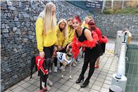 Chrt_dostihy_ultimate_greyhound_racing_park_prague_IMG_9322.JPG