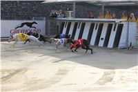 Chrt_dostihy_ultimate_greyhound_racing_park_prague_IMG_9331.jpg