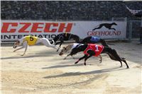 Chrt_dostihy_ultimate_greyhound_racing_park_prague_IMG_9332.jpg