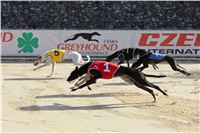 Chrt_dostihy_ultimate_greyhound_racing_park_prague_IMG_9333.JPG