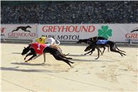 Chrt_dostihy_ultimate_greyhound_racing_park_prague_IMG_9334.JPG