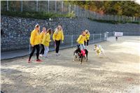 Chrt_dostihy_ultimate_greyhound_racing_park_prague_IMG_9338.JPG