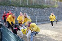 Chrt_dostihy_ultimate_greyhound_racing_park_prague_IMG_9340.JPG