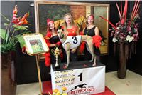 Chrt_dostihy_ultimate_greyhound_racing_park_prague_IMG_9358.JPG