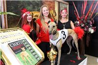 Chrt_dostihy_ultimate_greyhound_racing_park_prague_IMG_9365.JPG