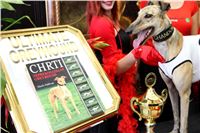 Chrt_dostihy_ultimate_greyhound_racing_park_prague_IMG_9376.JPG